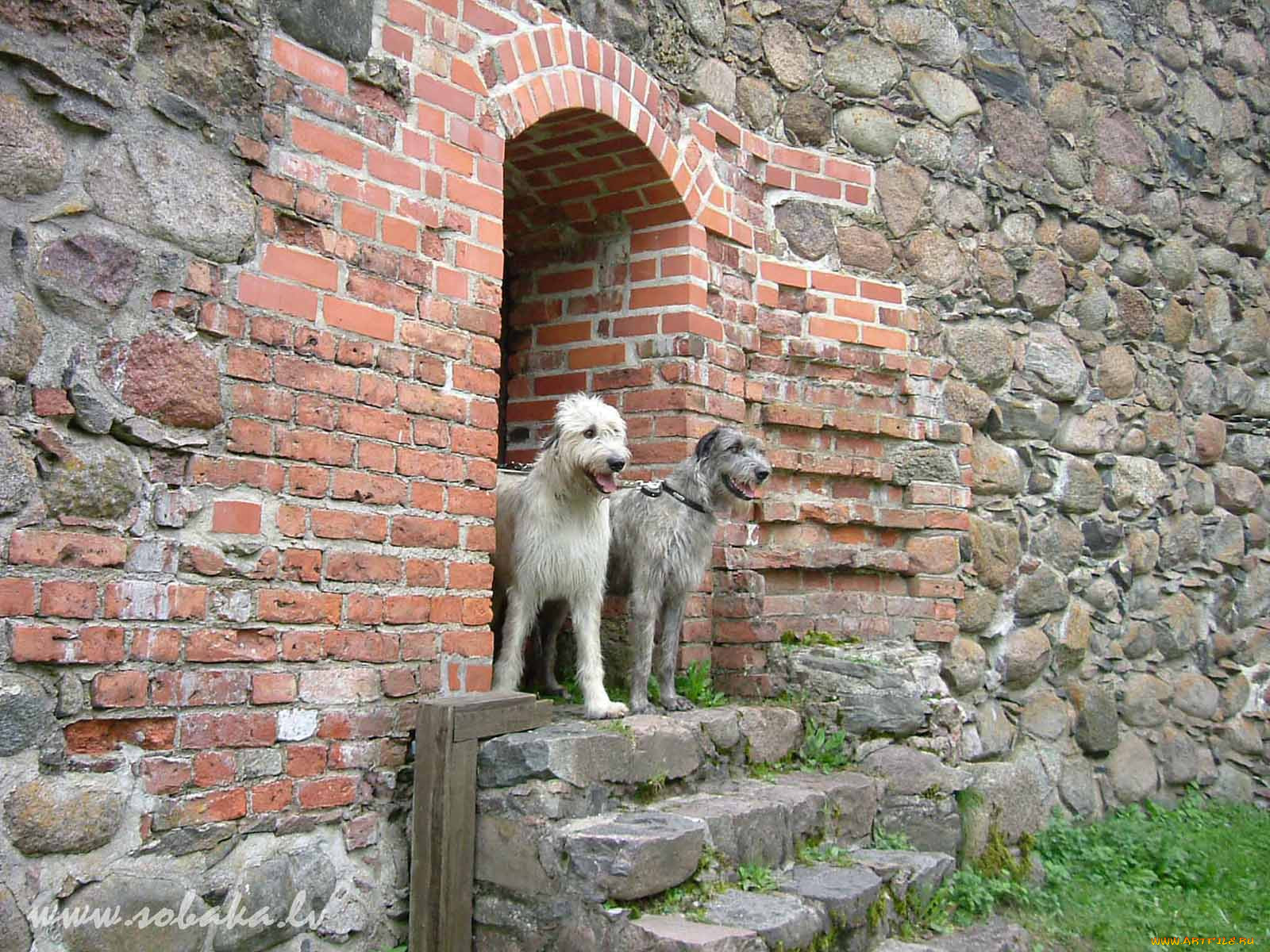 , 